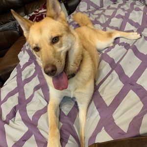 Meet your Posher, Kelly